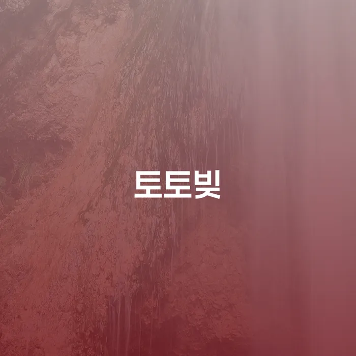개인파산면책절차 개인회생 문제해결방법 알아봐야 할 사항