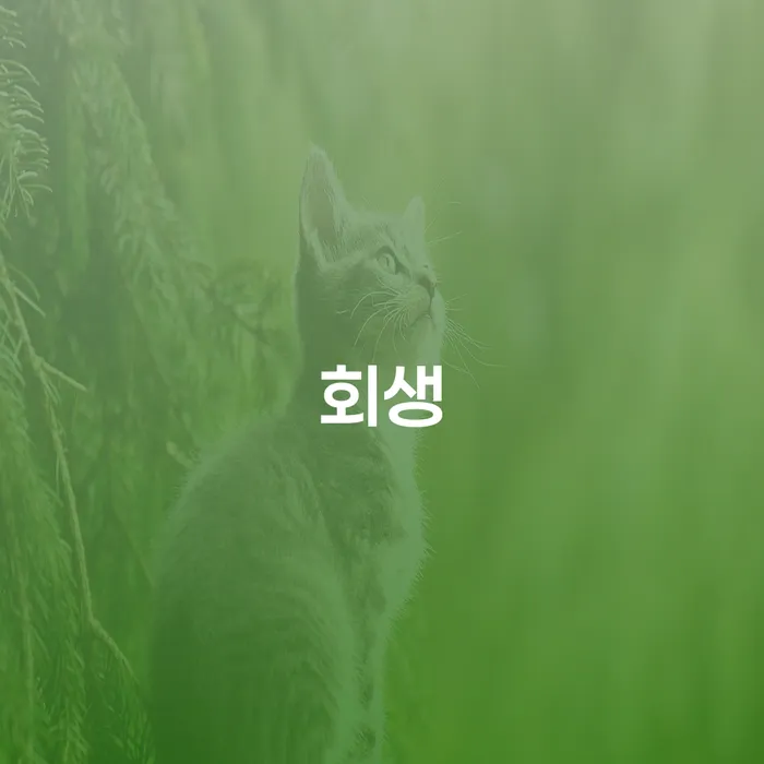 개인회생비용 개인파산 해결 할 수 있을까?