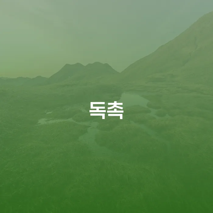 법인채무 카드빚 연체 검토하여