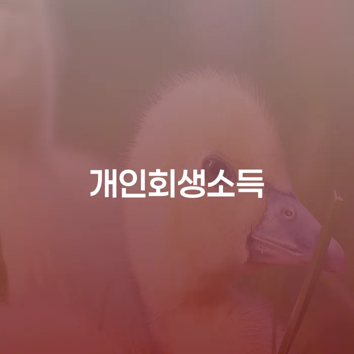 법인대표신용대출 연체 시 대출 연체 개인회생 신속하게