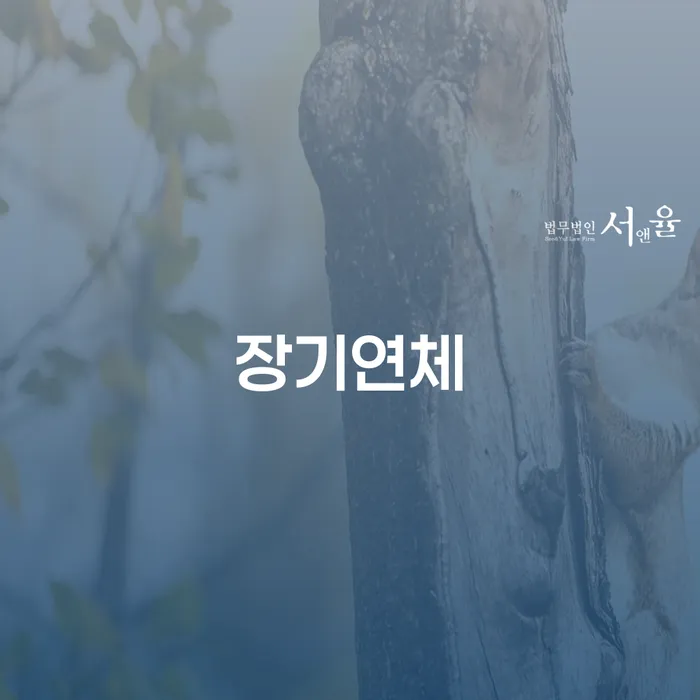 법인대표대출 연체 시 개인회생으로 현명하게 법무법인추천