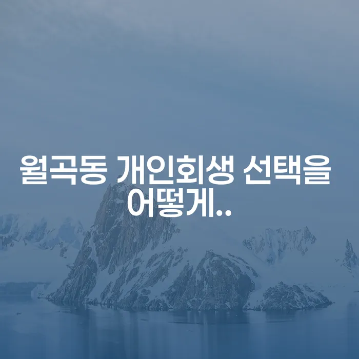 월곡동 개인회생 선택을 어떻게..