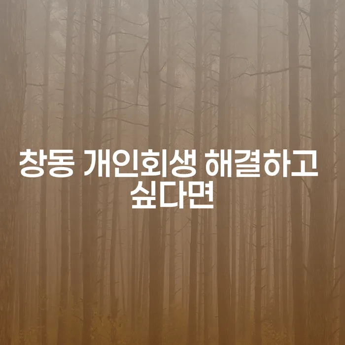 창동 개인회생 해결하고 싶다면