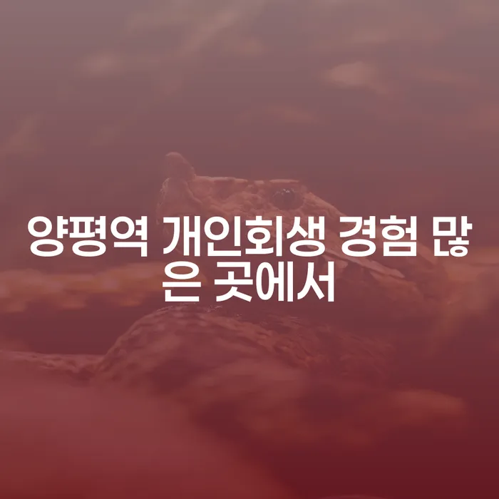 양평역 개인회생 경험 많은 곳에서
