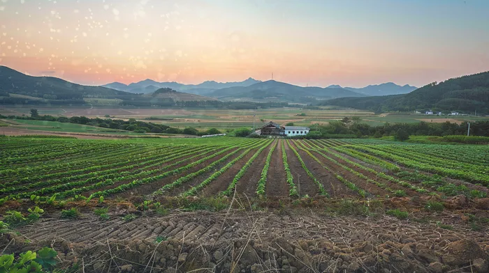 대출 연체자 신용카드 발급 가능성