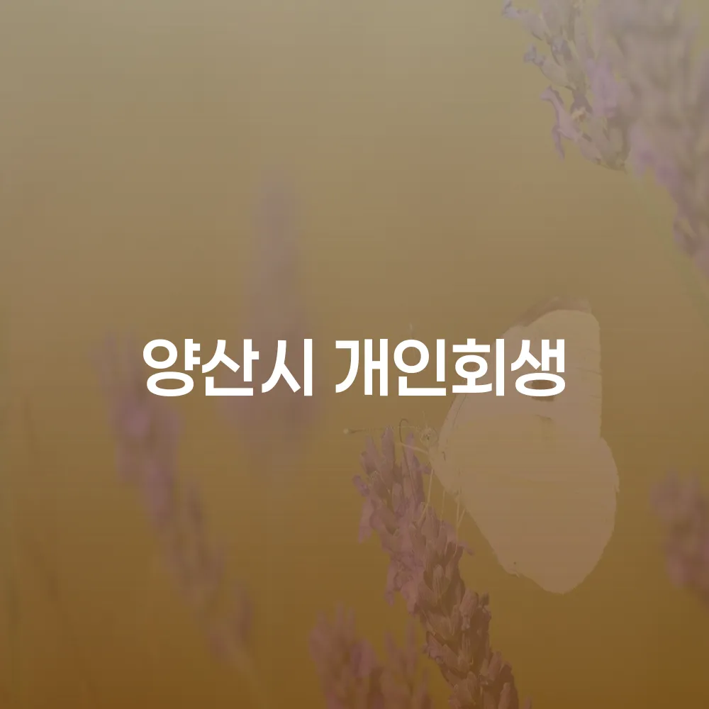 양산시 개인회생 신청 자격과 성공 사례로 보는 부채 해결