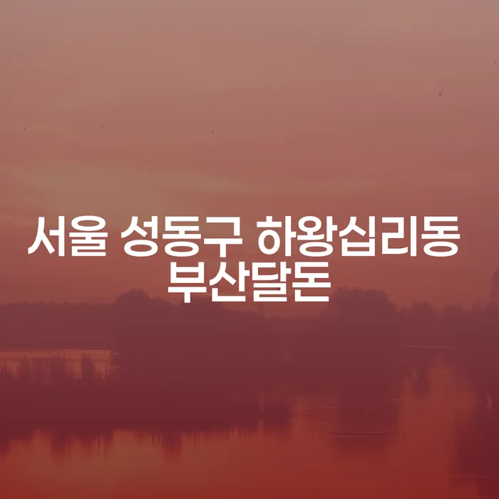 서울 성동구 하왕십리동에서 파산선고를 고려해야 할 때, 부산달돈은 어떻게 활용할 수 있을까?