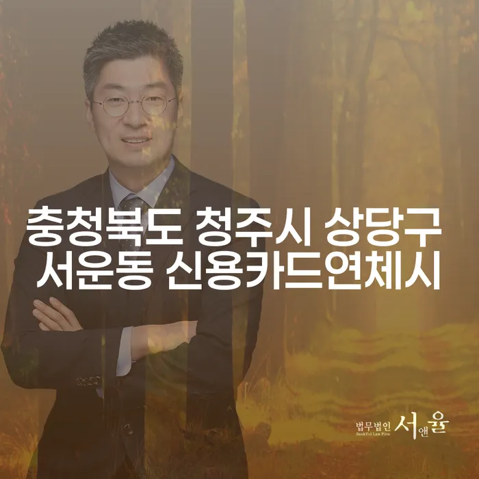 충청북도 청주시 상당구 서운동에서 신용카드 연체 시 어떻게 해결할 수 있을까요?