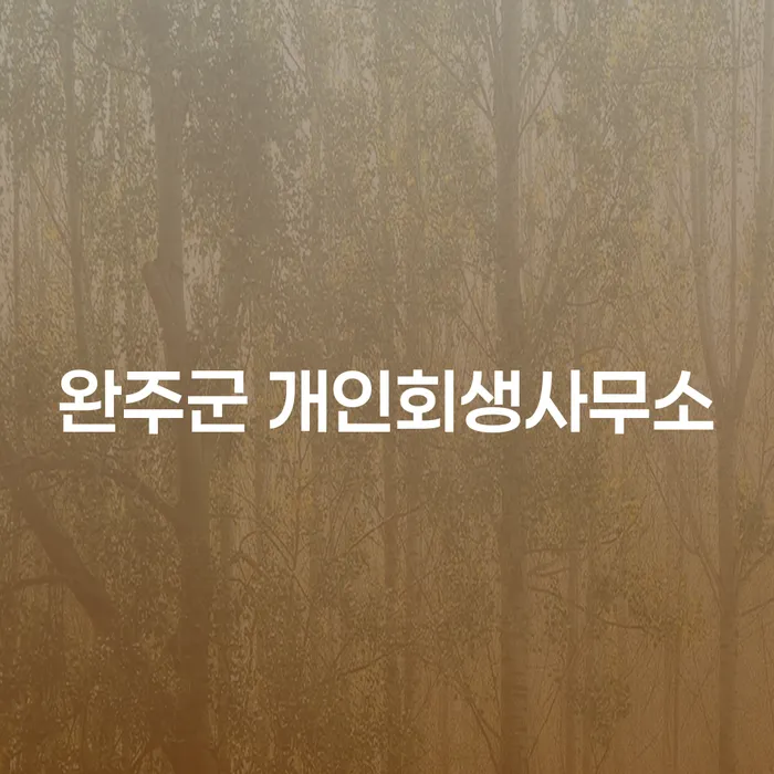 개인회생과 개인파산: 완주군과 광진구에서의 해결책은?