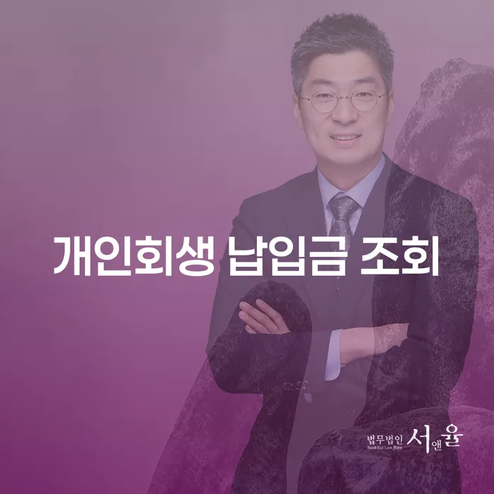 개인회생 납입금 조회와 개인돈신고, 어떻게 준비해야 할까요?