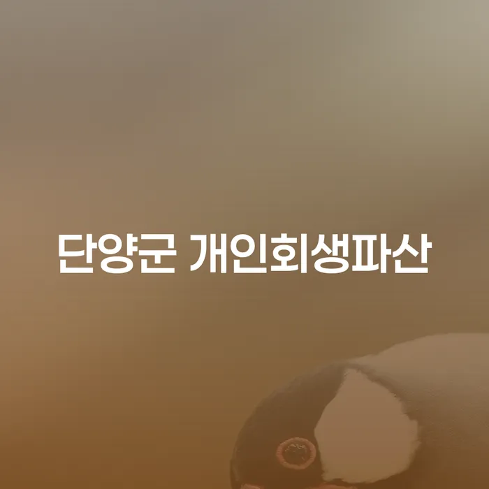 단양군에서 개인회생 및 파산 신청, 어떻게 시작해야 할까요?
