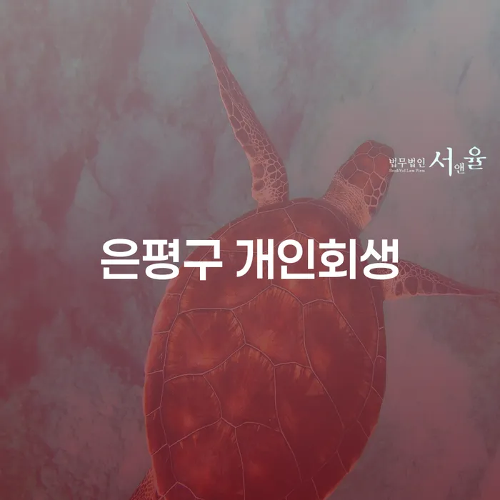 어떻게 은평구 개인회생과 채무조회를 통해 금융 문제를 해결할 수 있을까요?